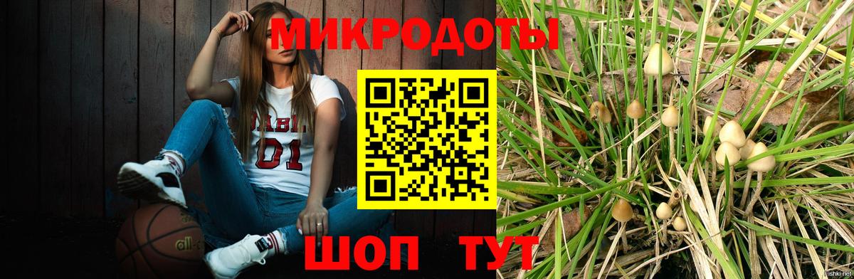 Галлюциногенные грибы Psilocybine cubensis Кировск
