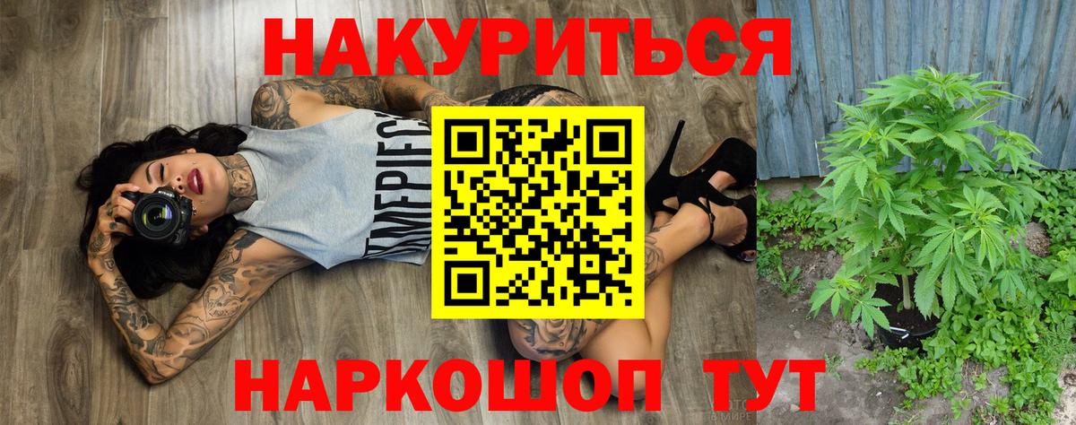 Канабис конопля Кировск